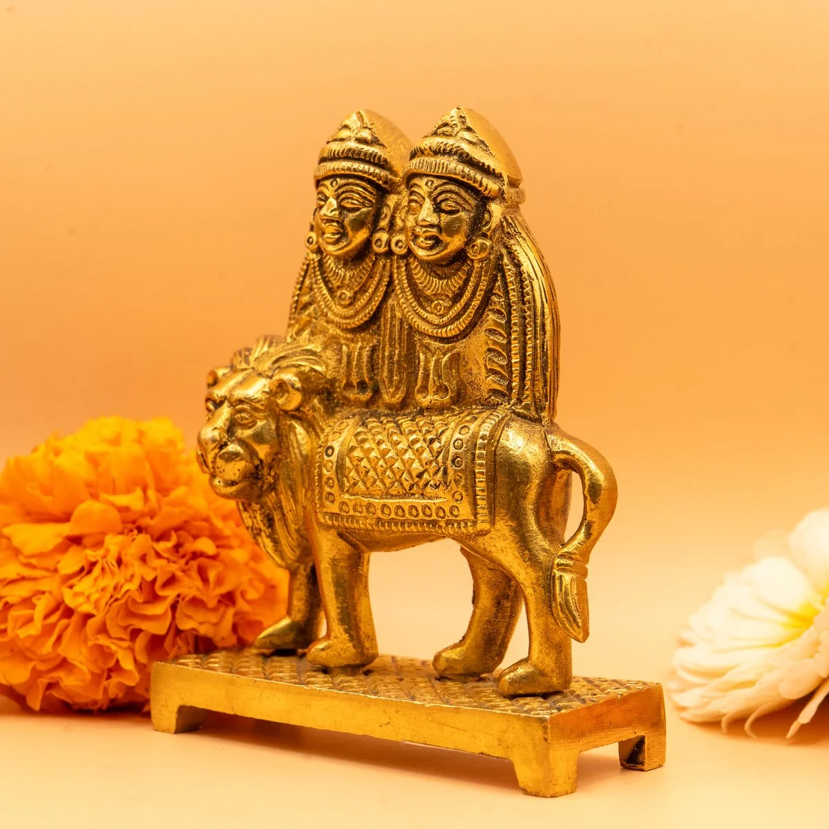 Chamunda Murti/Chaamunda MATA Statue/Pital Chamunda view 5