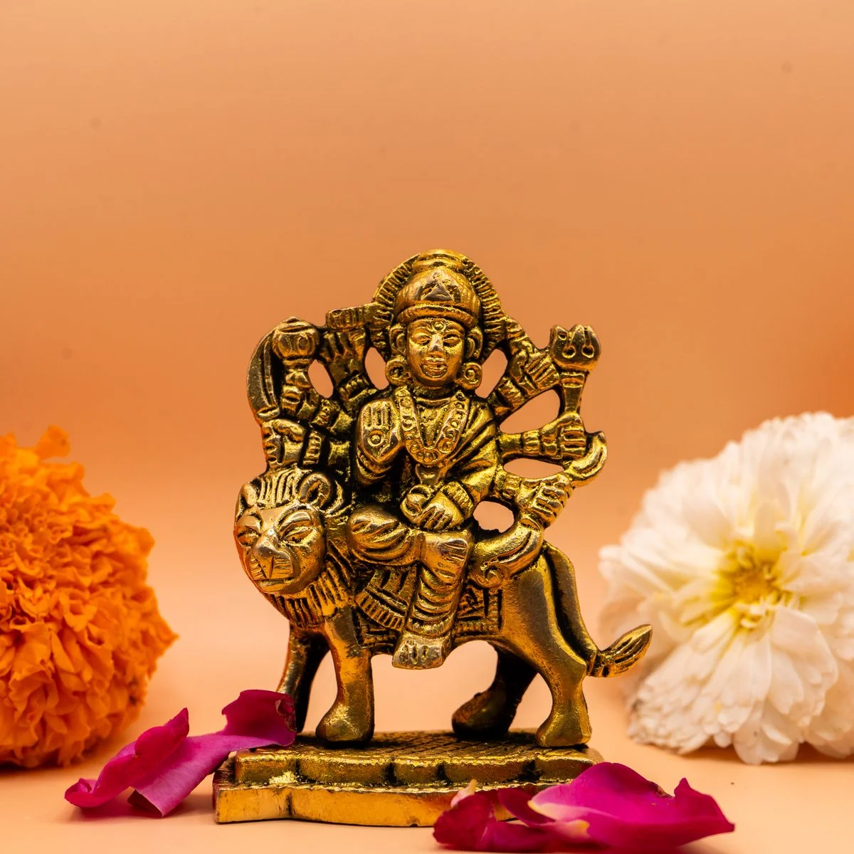 Maa Durga view 2