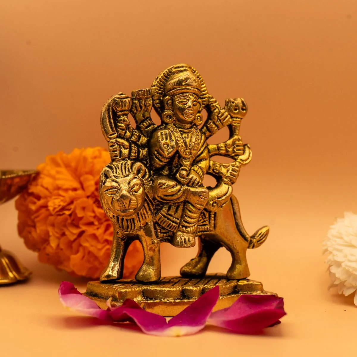 Maa Durga view 6
