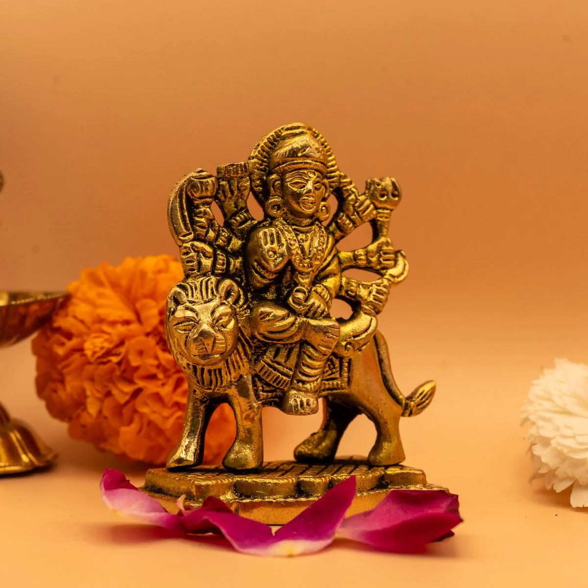 Maa Durga view 8