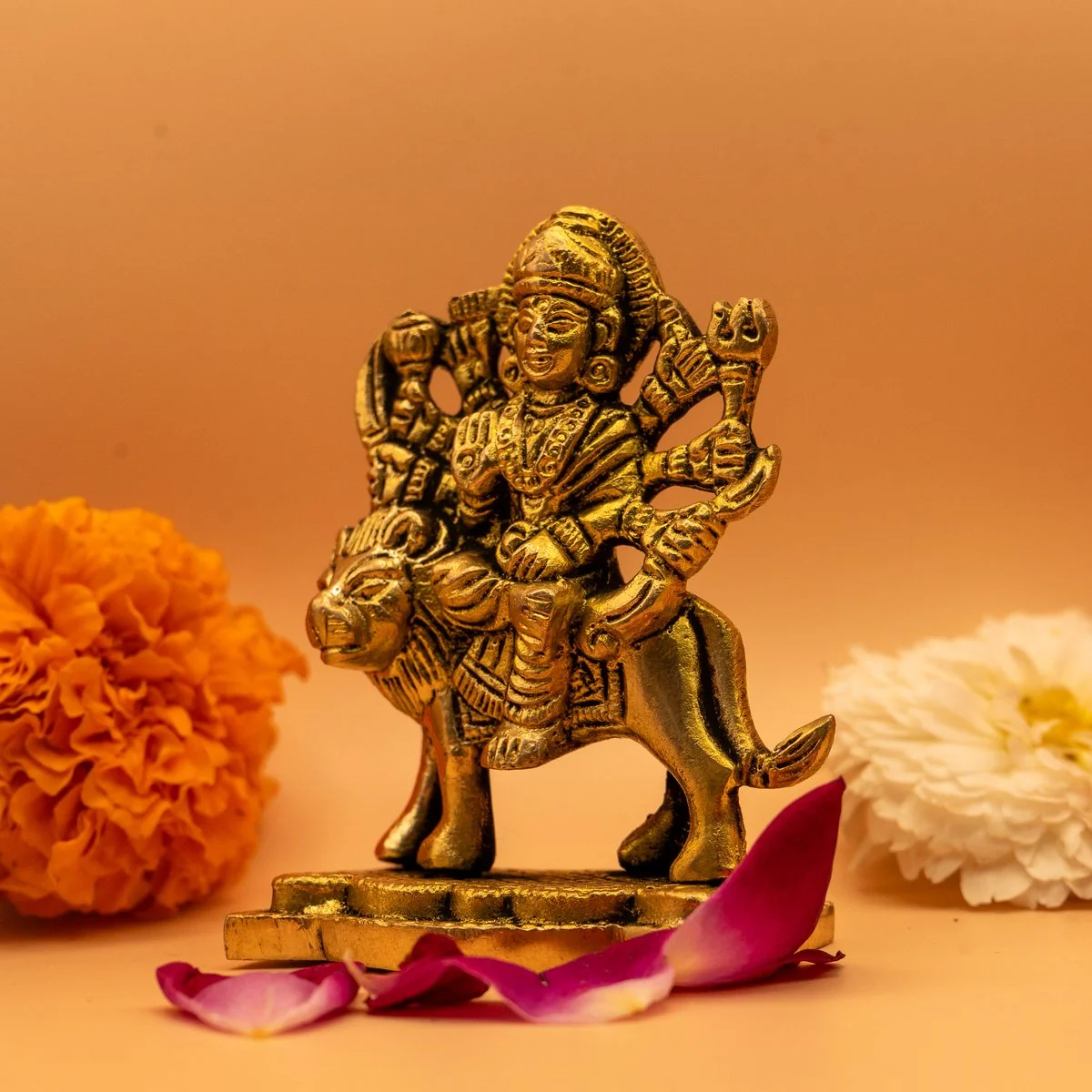 Maa Durga view 9
