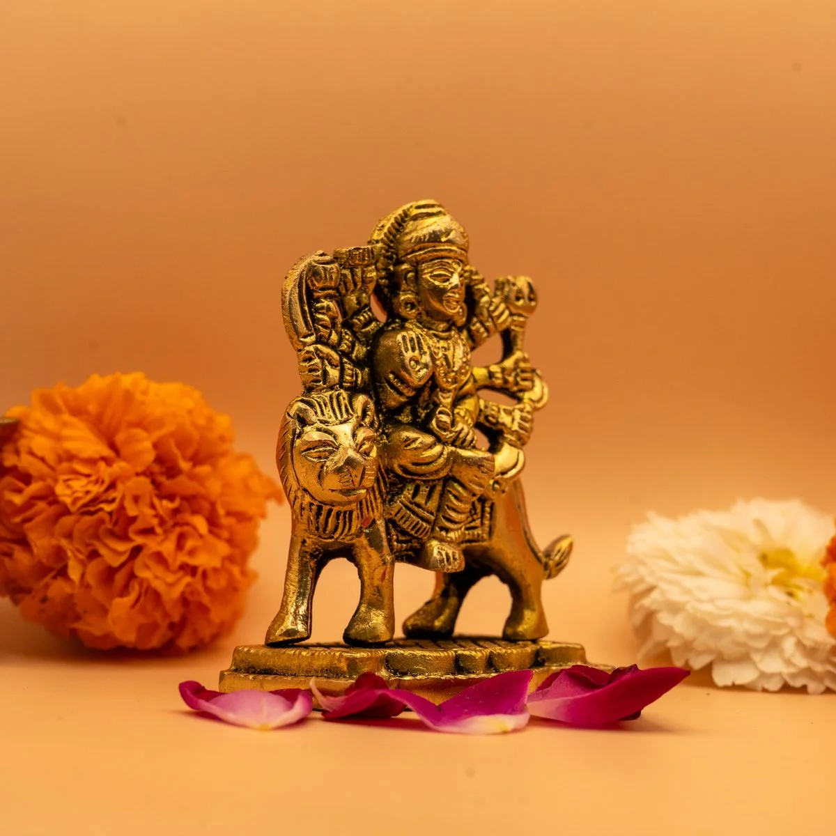 Maa Durga view 10