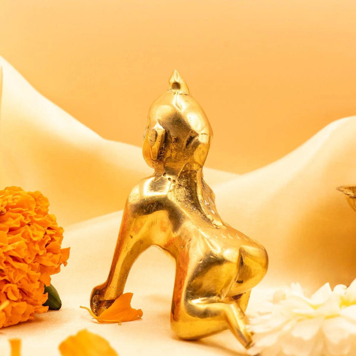 Brass Laddu Gopal view 5