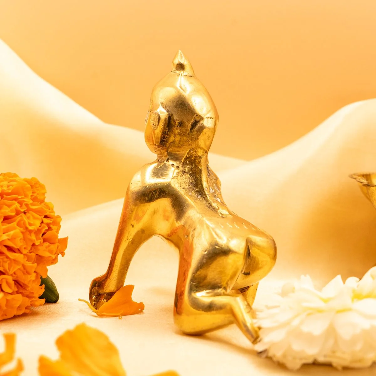 Brass Laddu Gopal view 3