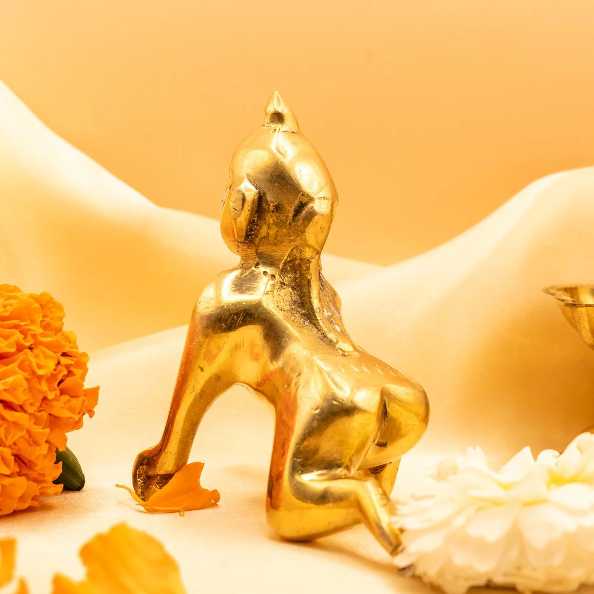 Brass Laddu Gopal view 4