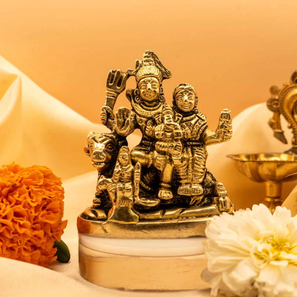 Shiv Parivar view 5