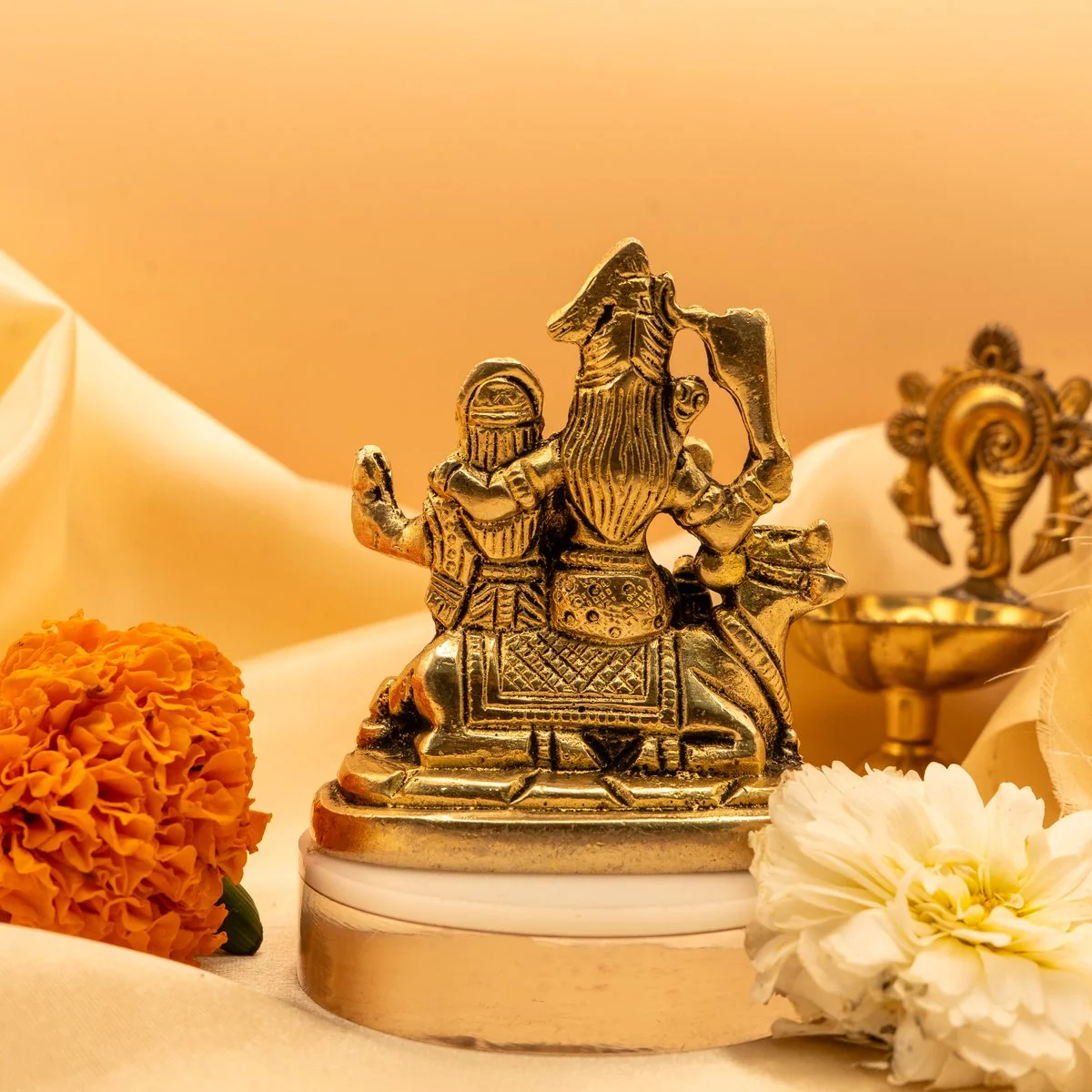 Shiv Parivar view 8