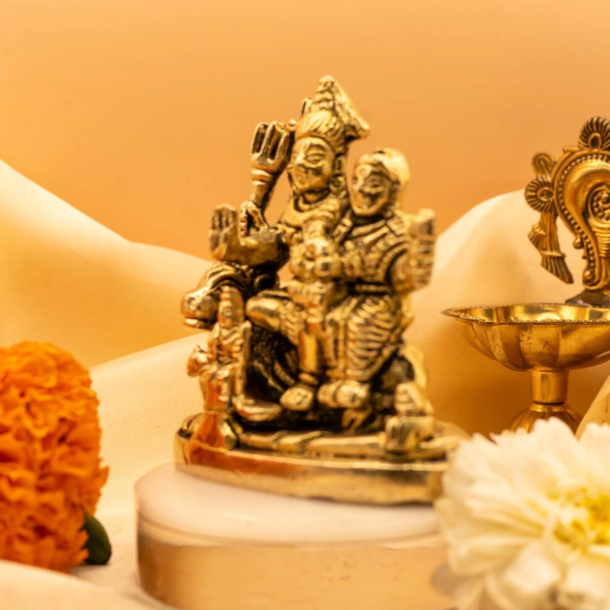 Shiv Parivar view 6
