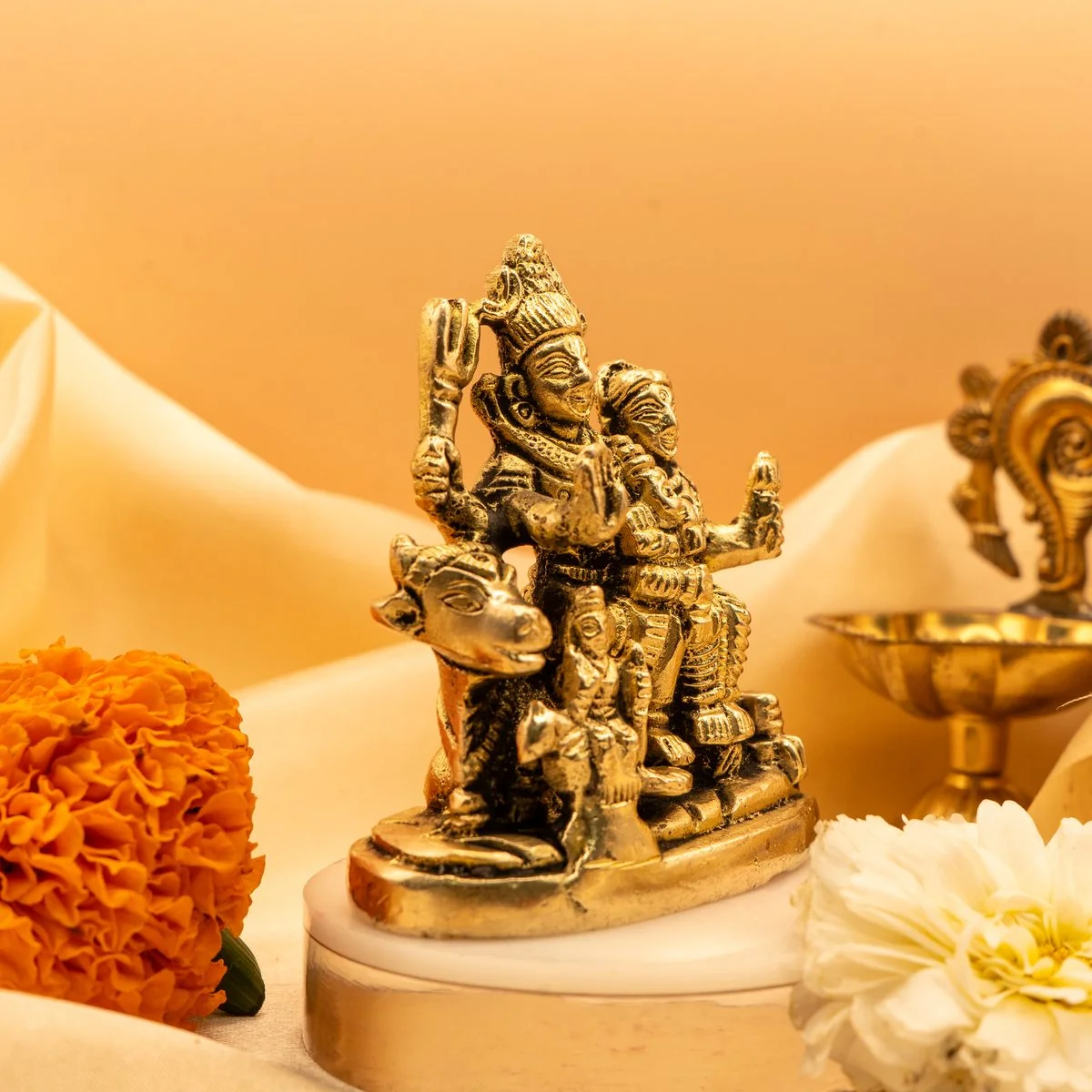 Shiv Parivar view 7