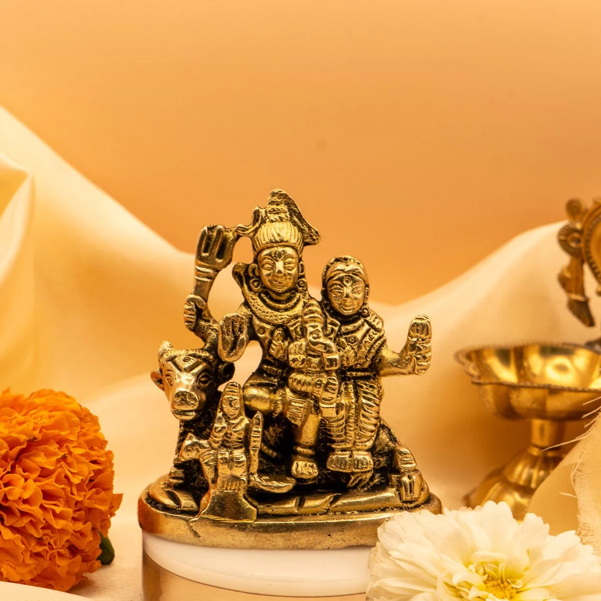 Shiv Parivar view 9
