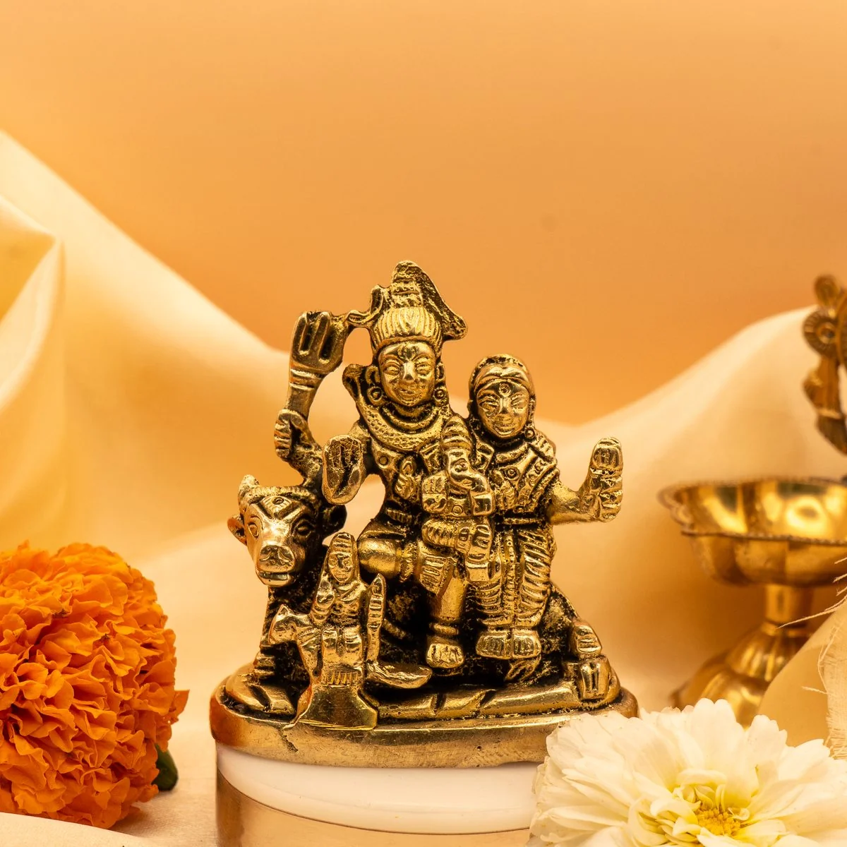 Shiv Parivar view 10