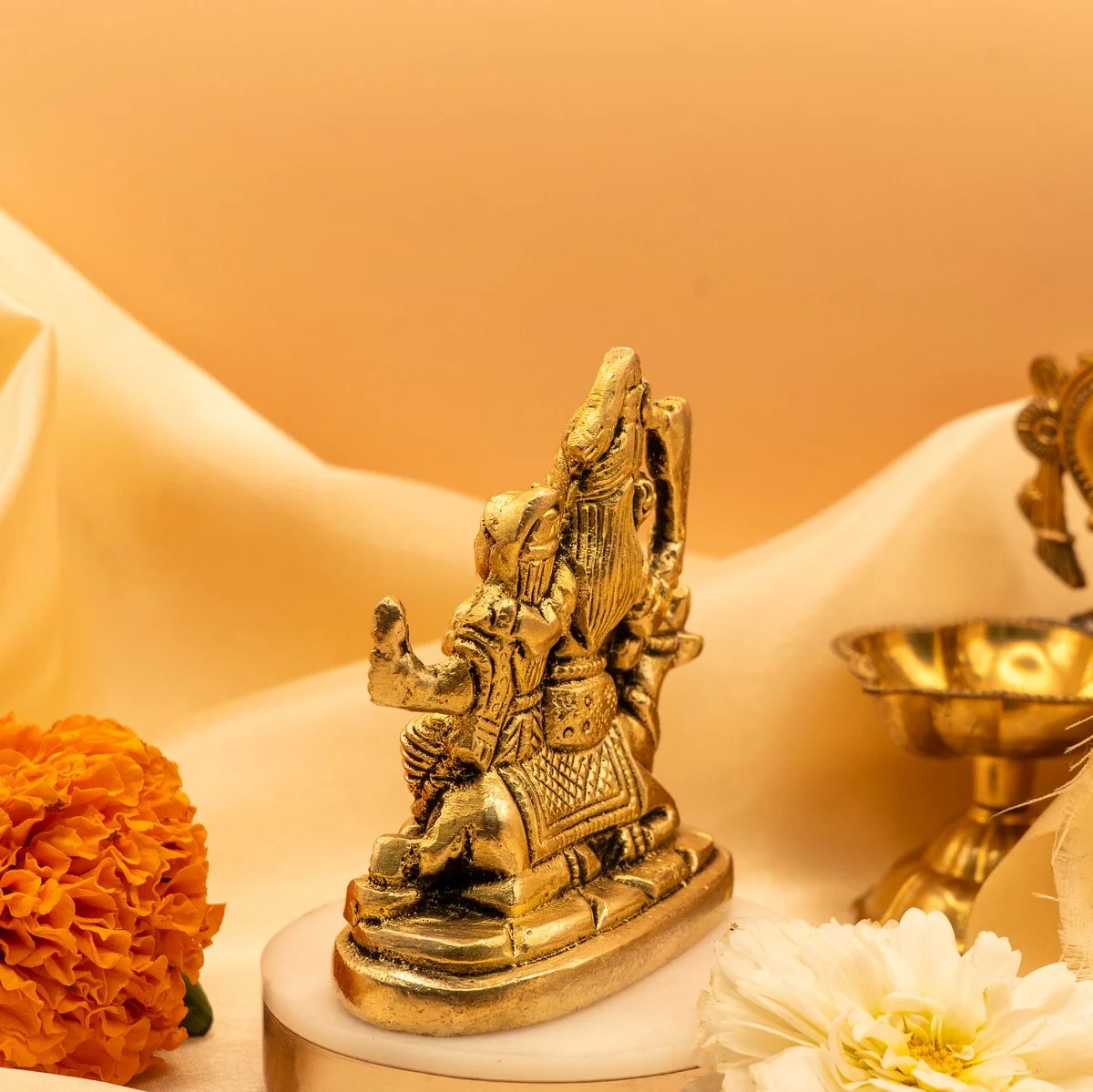 Shiv Parivar view 5
