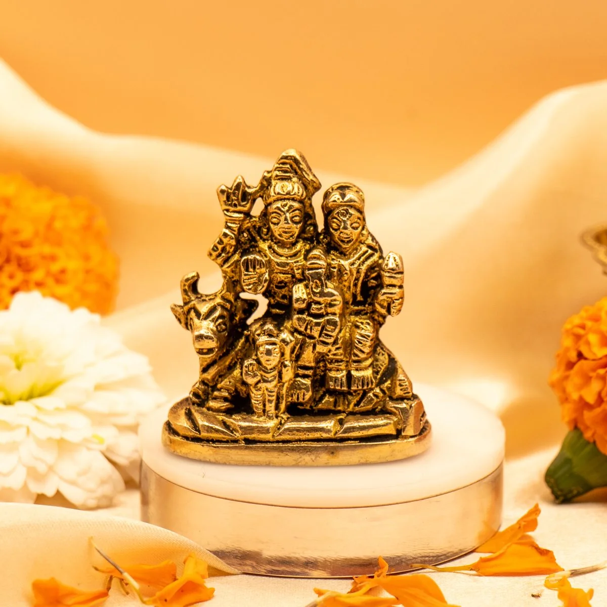 Shiv Parivar view 8