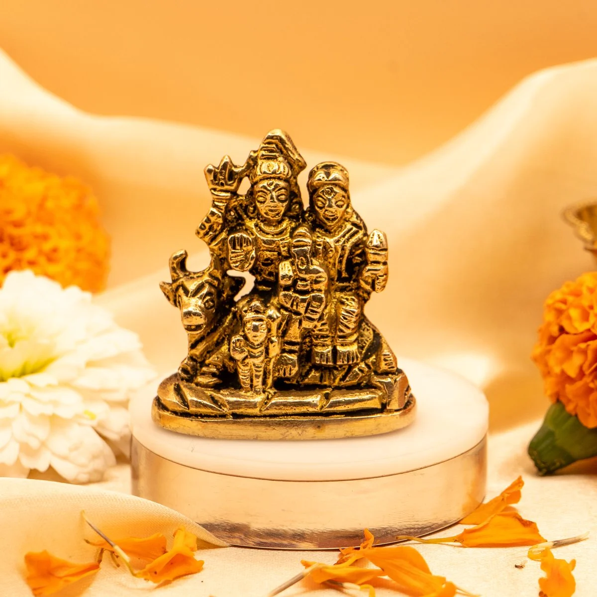 Shiv Parivar view 9