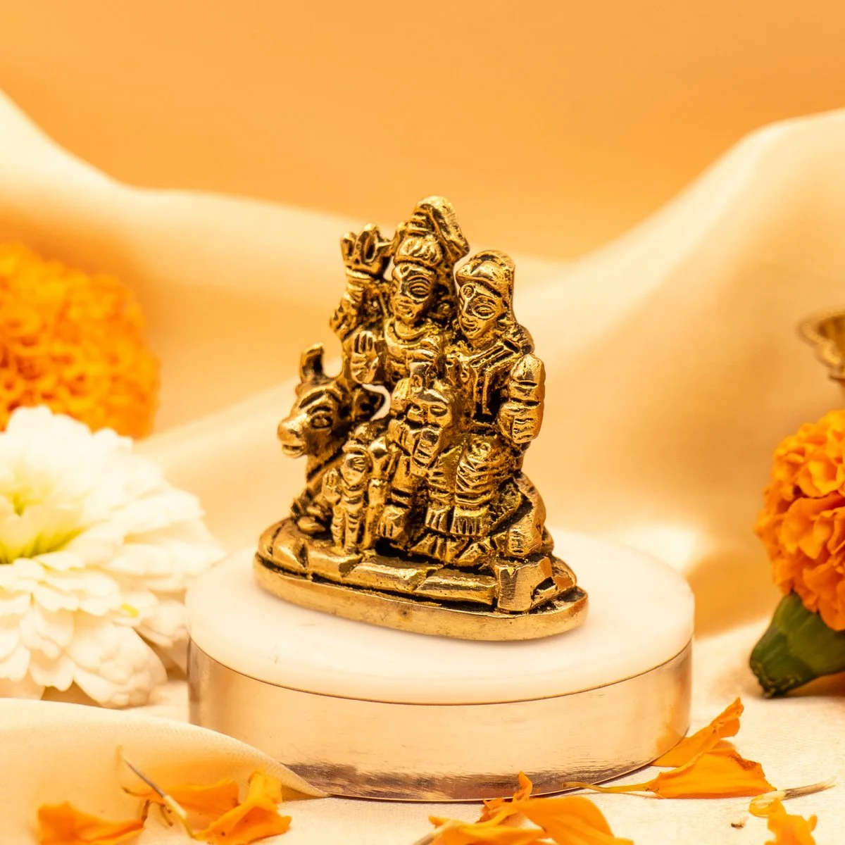 Shiv Parivar view 10