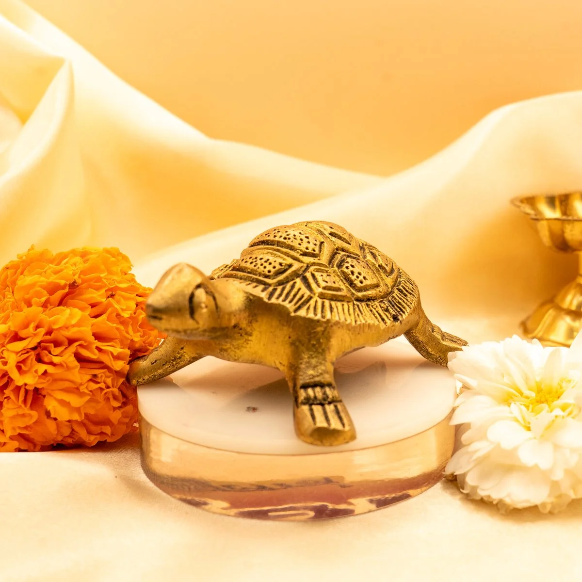Feng Shui Tortoise view 2