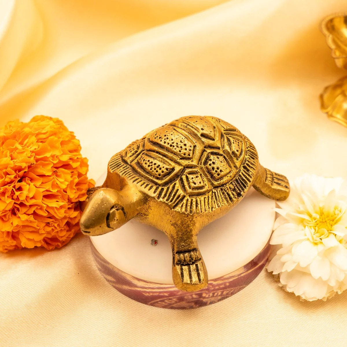 Feng Shui Tortoise view 7