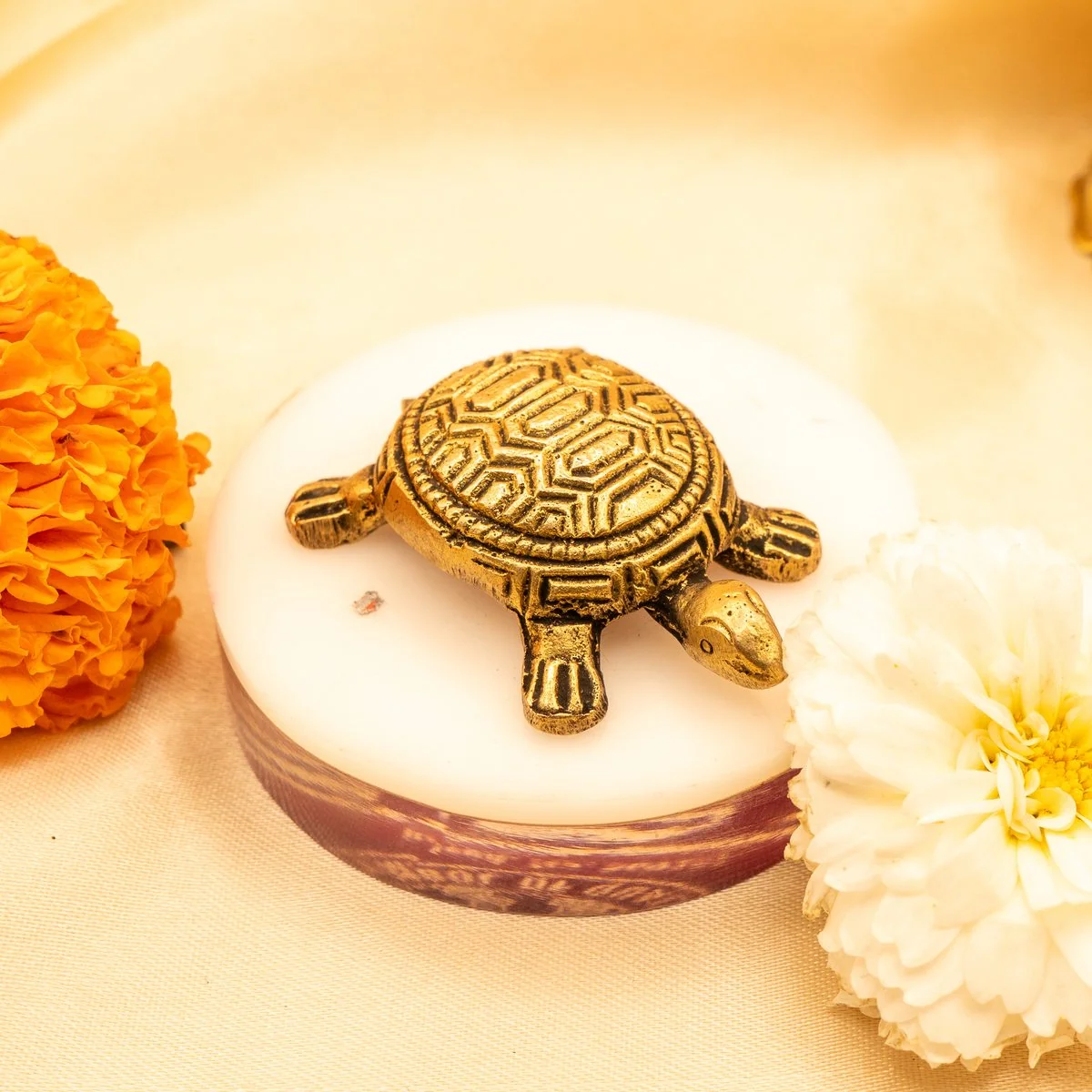 Feng Shui Tortoise view 2