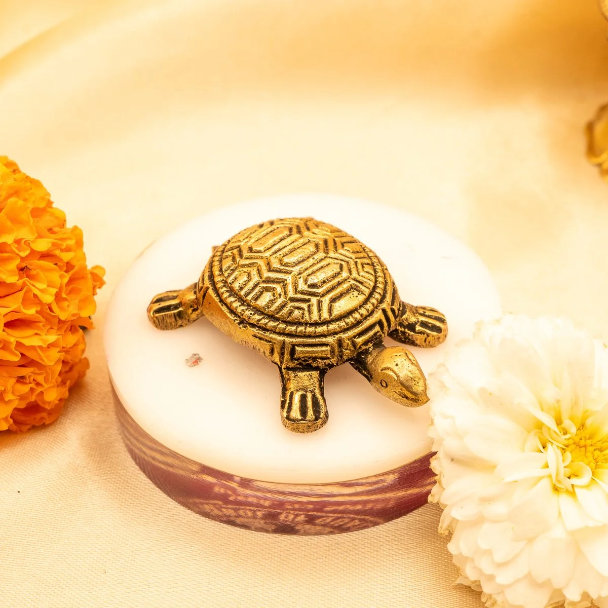 Feng Shui Tortoise view 3