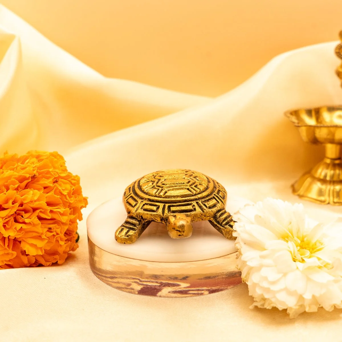 Feng Shui Tortoise view 6