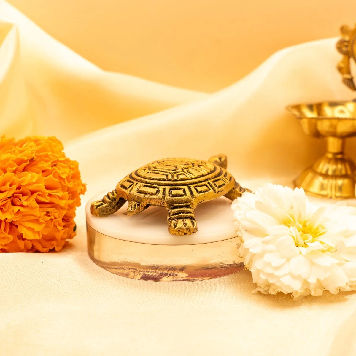 Feng Shui Tortoise view 9
