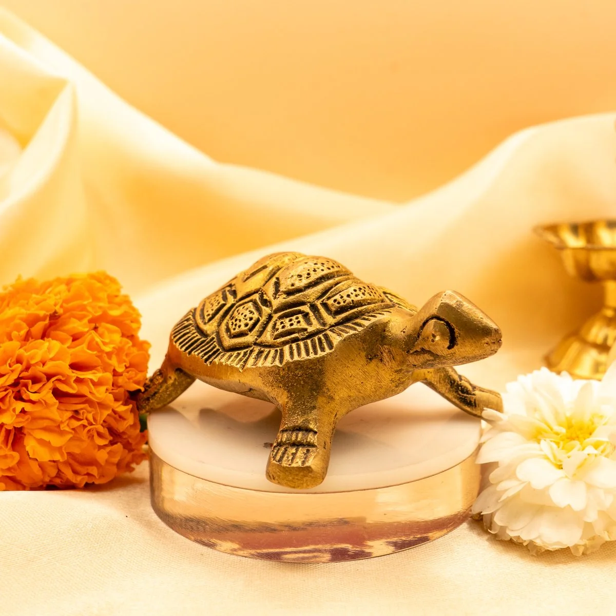 Feng Shui Tortoise view 4