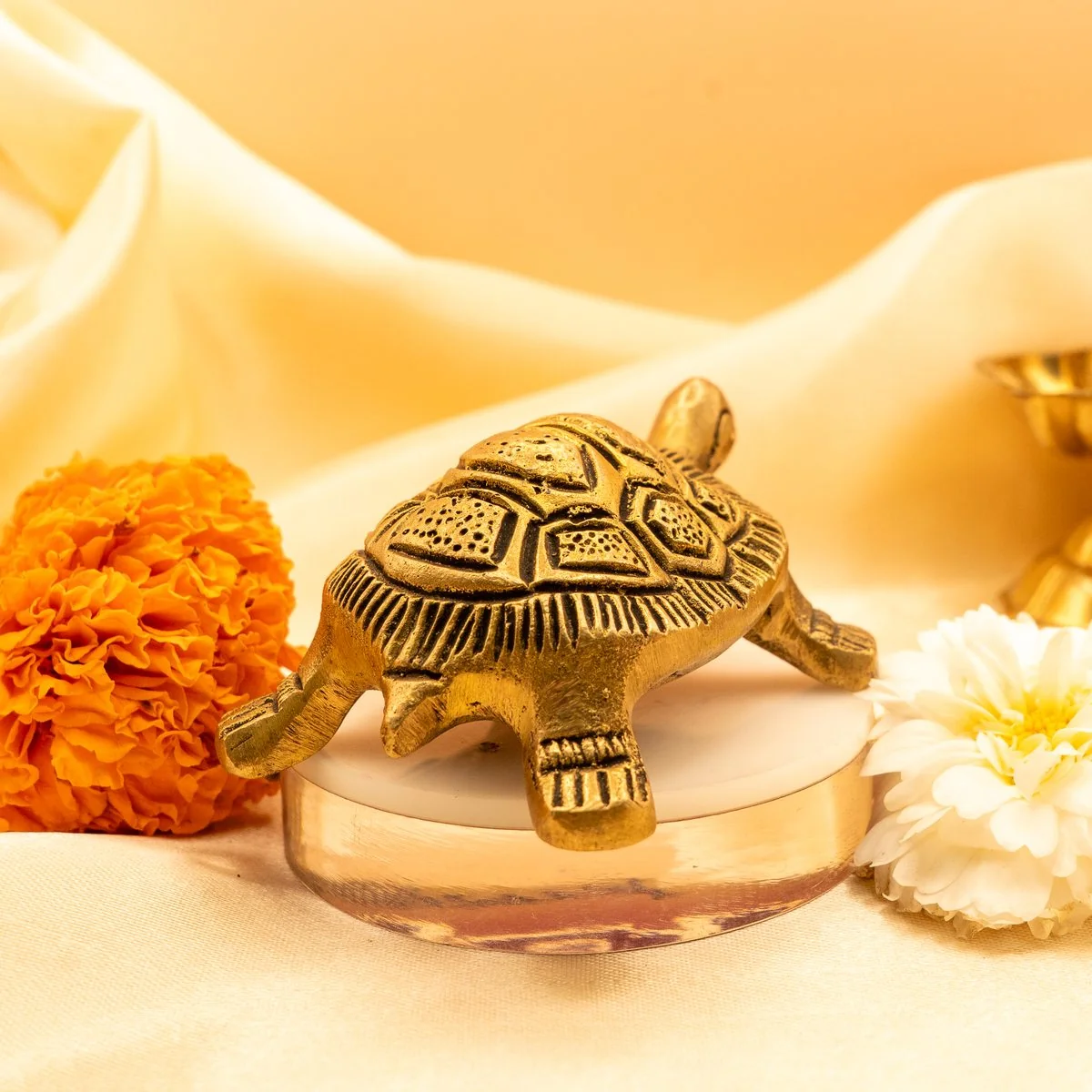 Feng Shui Tortoise view 6