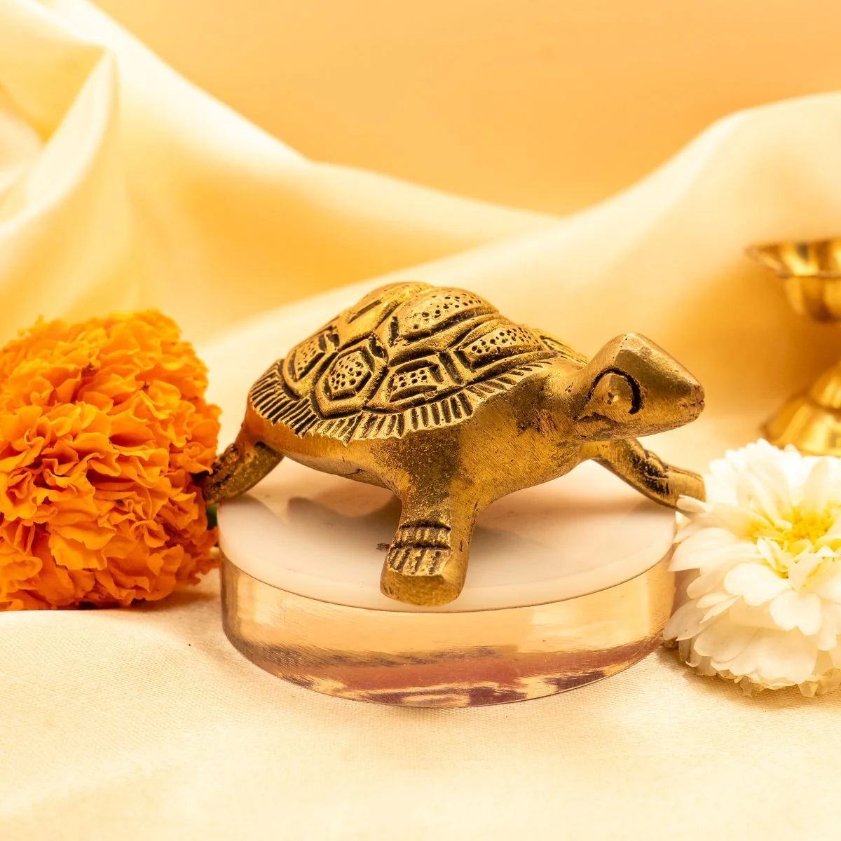 Feng Shui Tortoise view 3