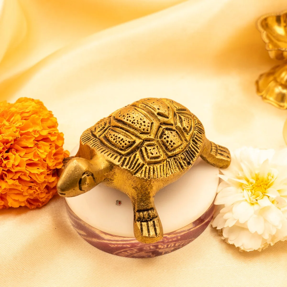 Feng Shui Tortoise view 8