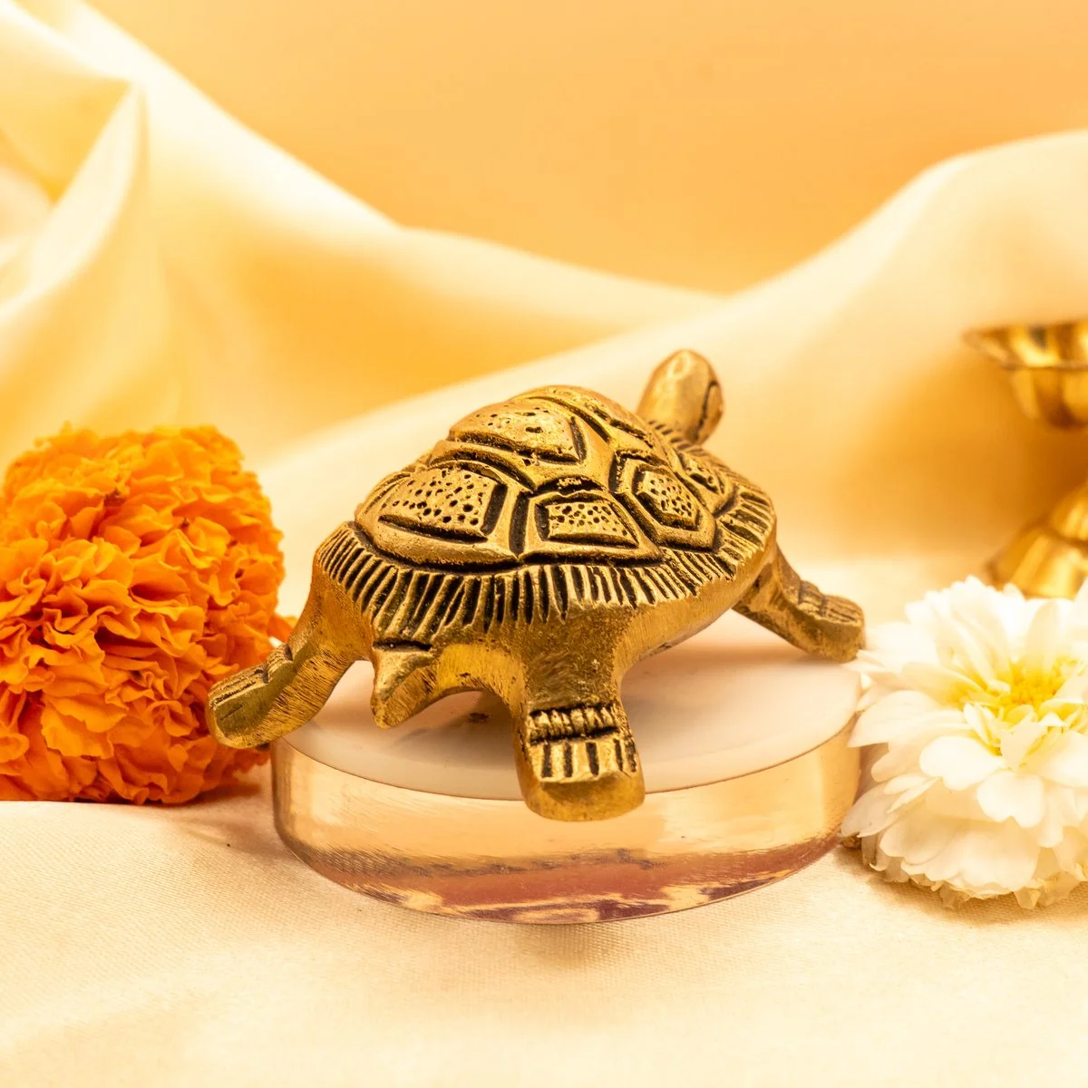 Feng Shui Tortoise view 5